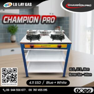 champion pro 4.11 SSD