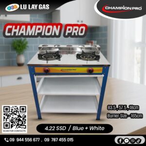 champion pro 4.22 SSD